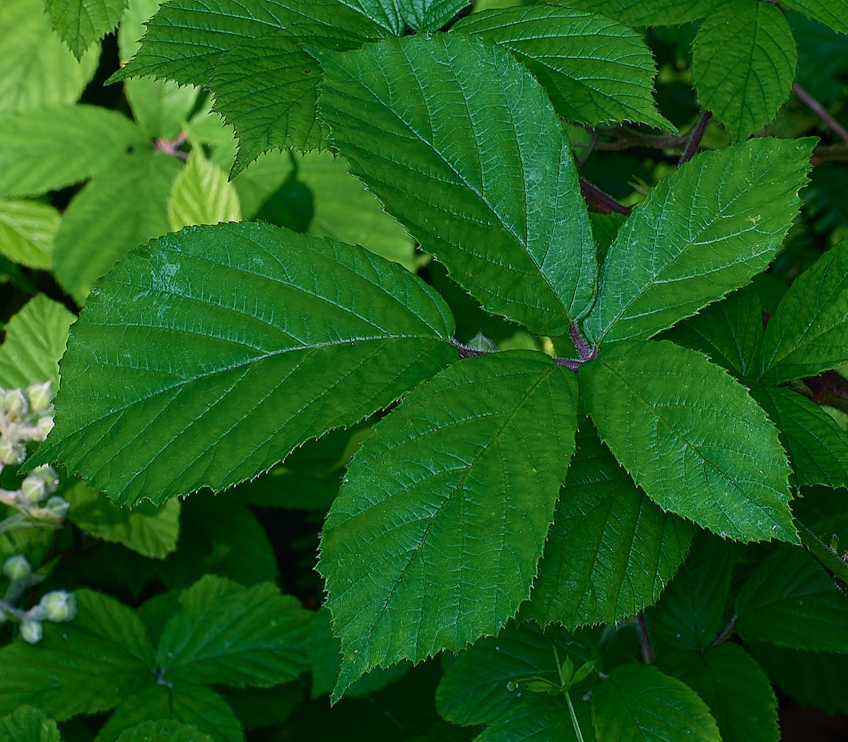 Stacks Image 17