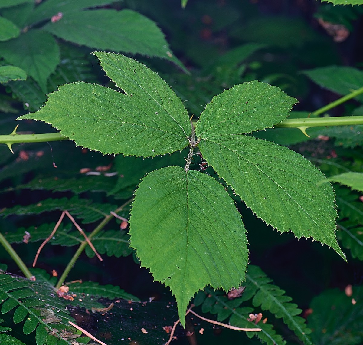 Stacks Image 17