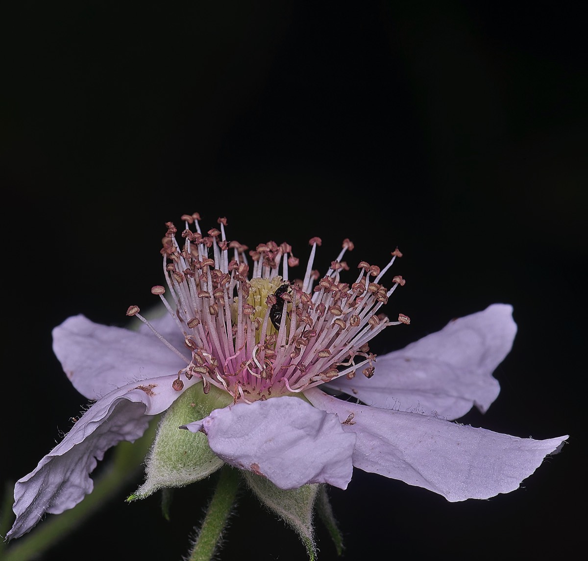 Stacks Image 76