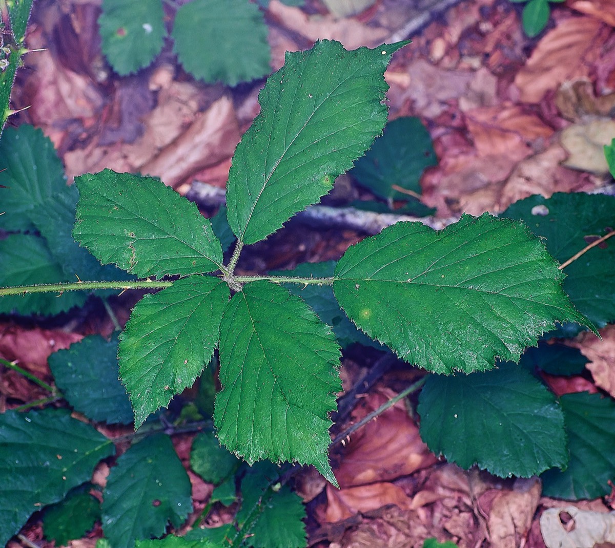 Stacks Image 17
