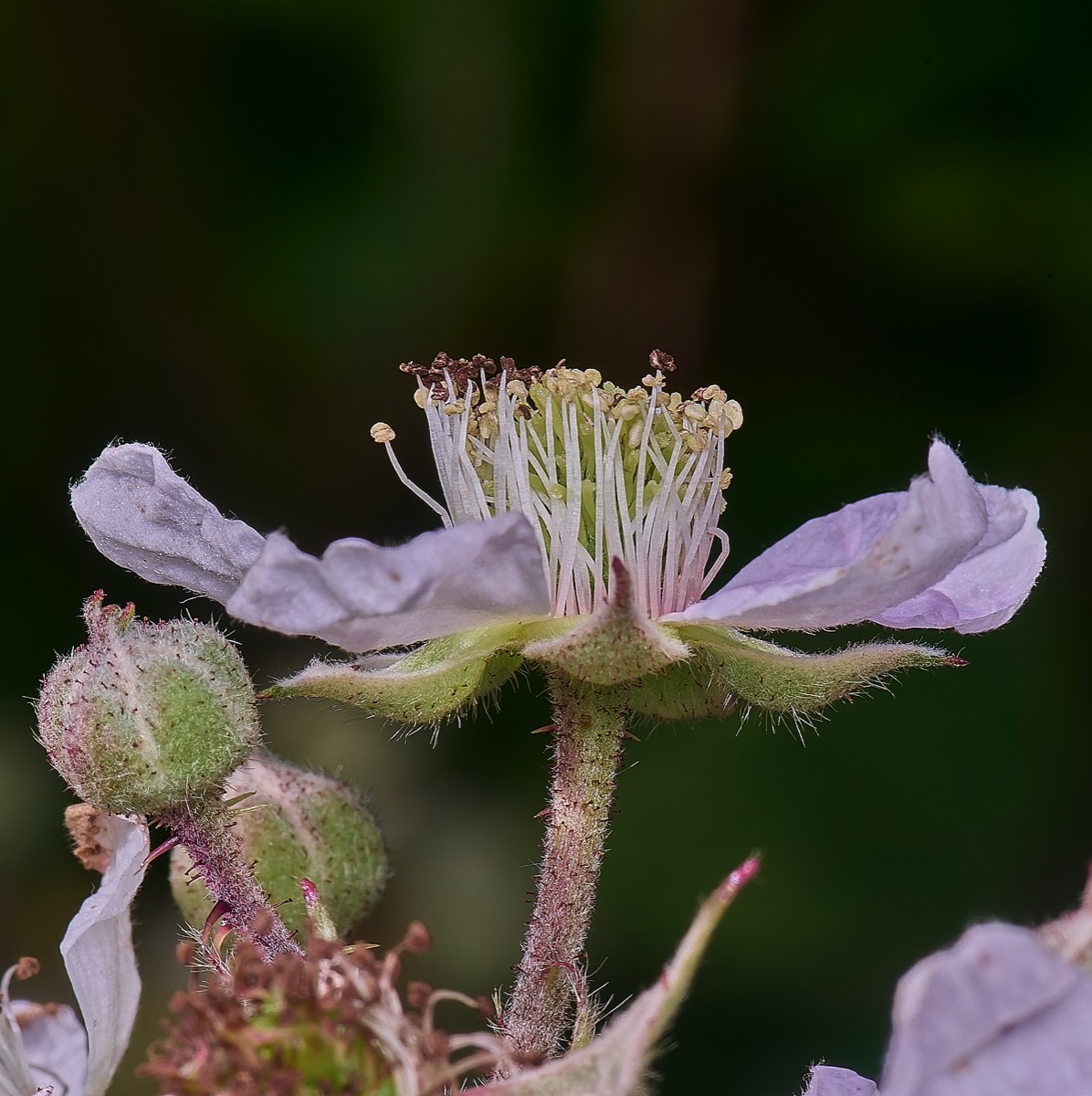 Stacks Image 67