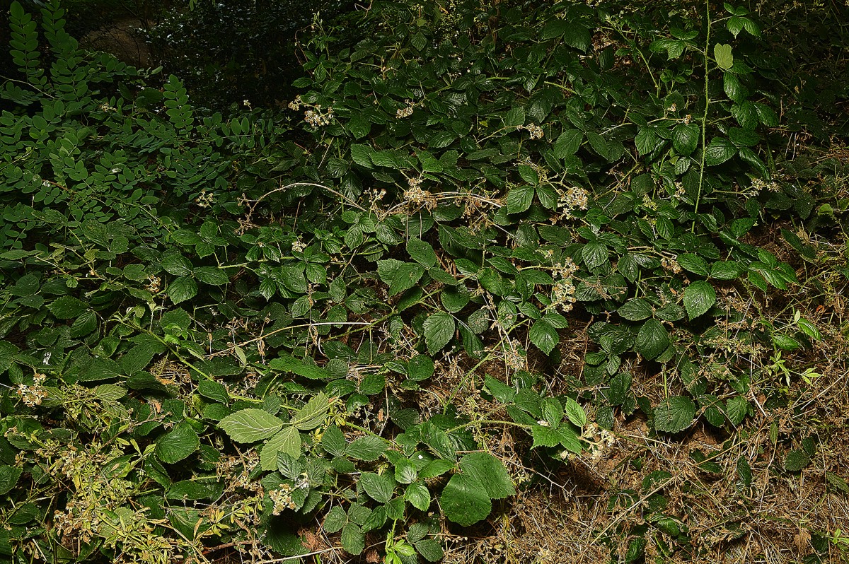 Stacks Image 5