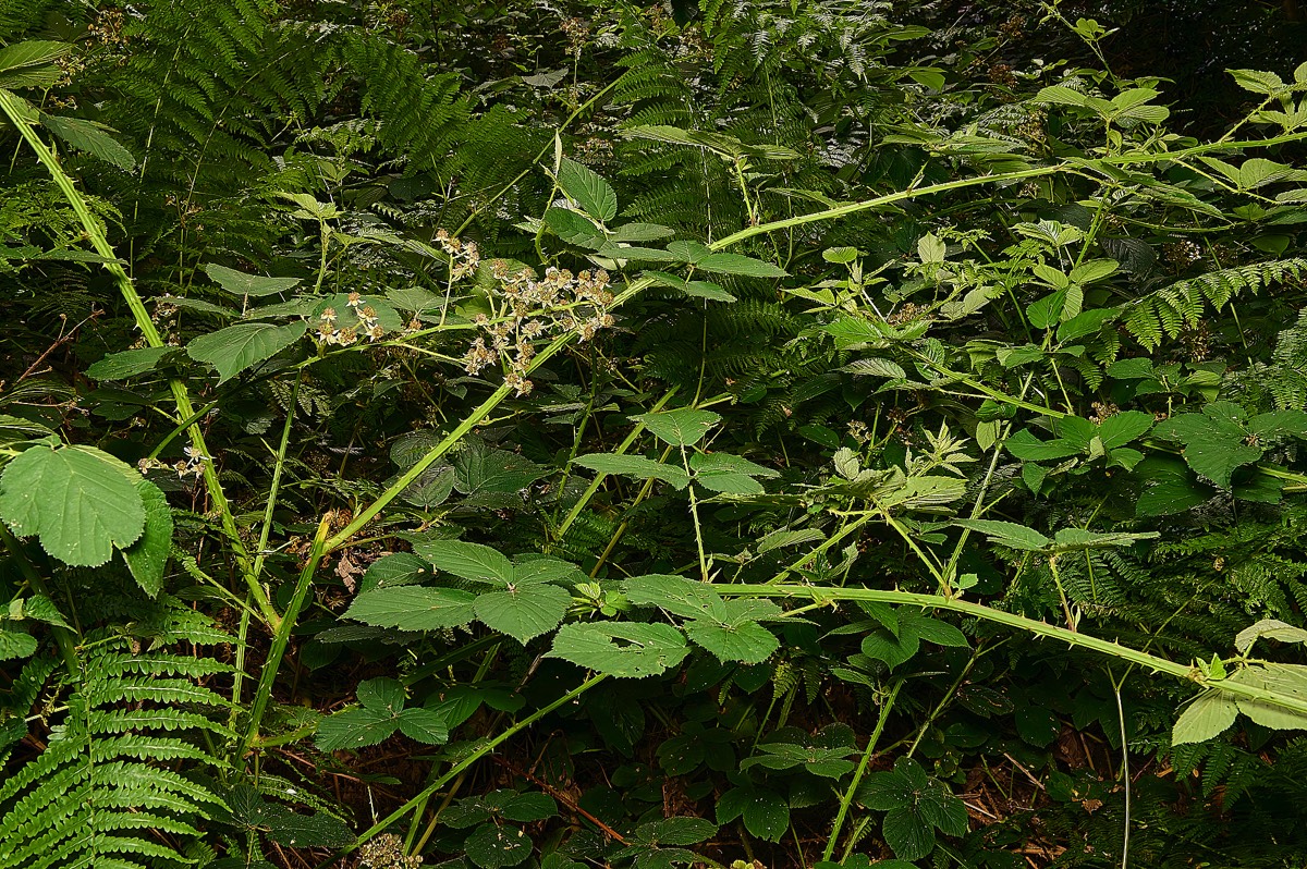 Stacks Image 5