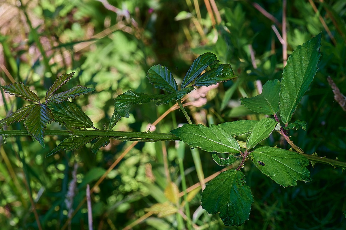 Stacks Image 9