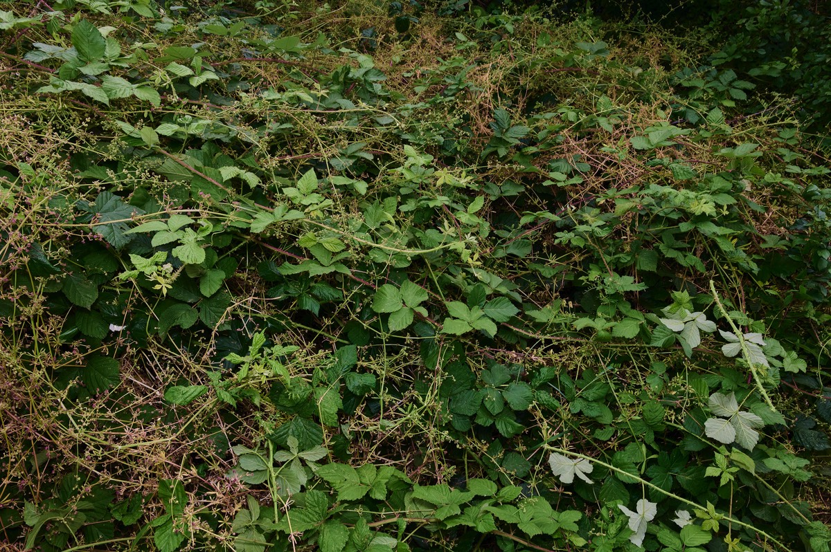Stacks Image 5