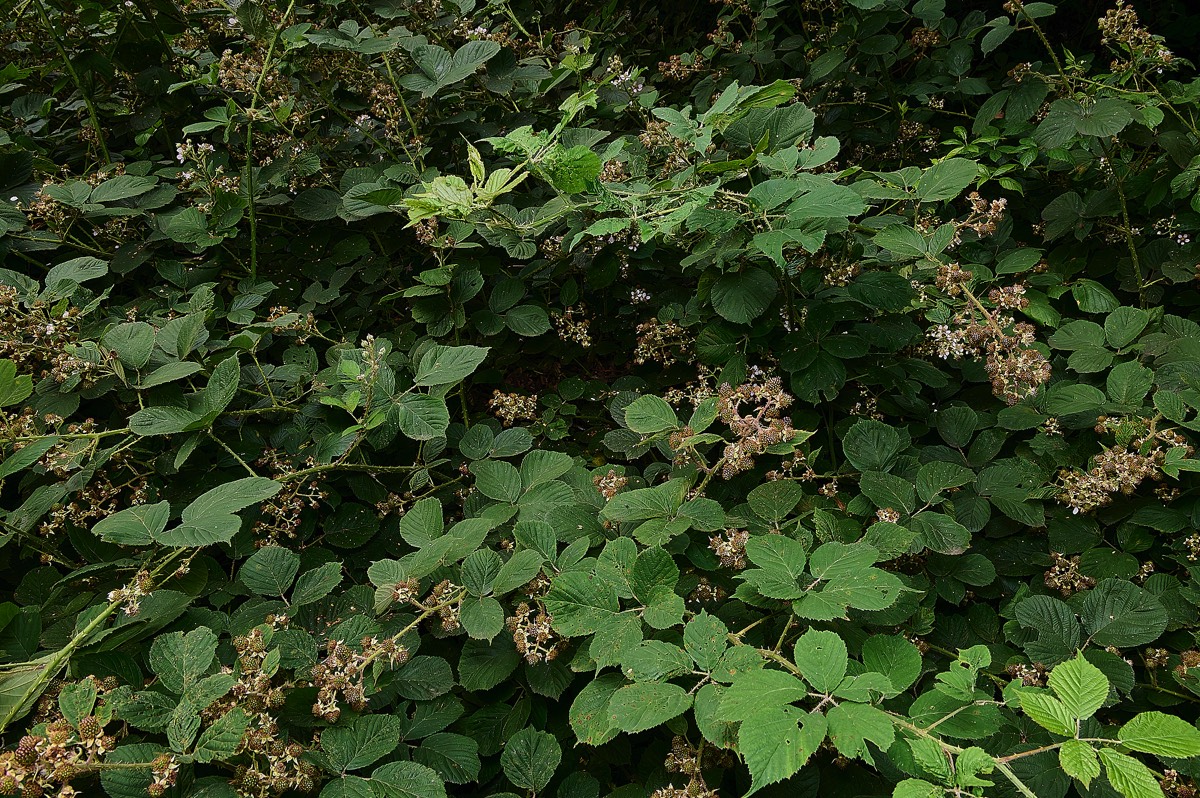 Stacks Image 5