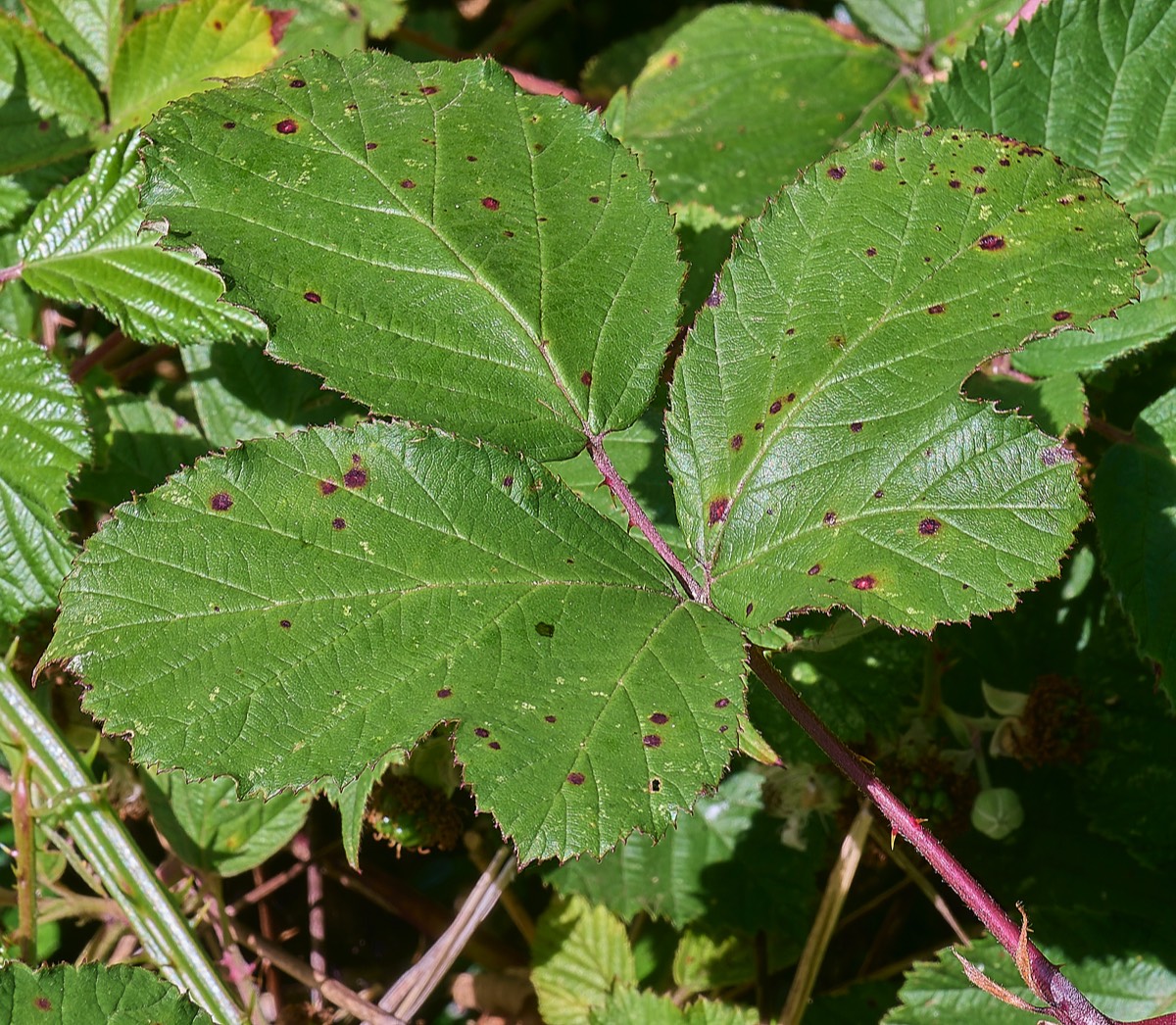 Stacks Image 17