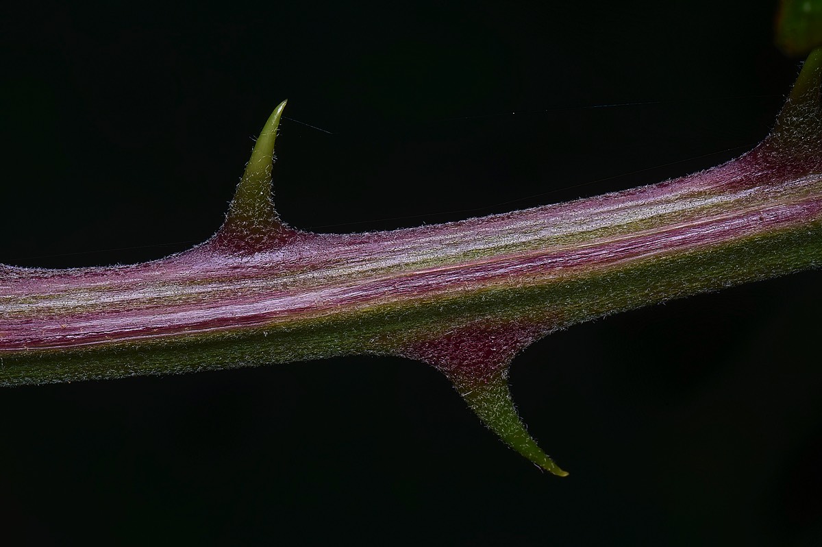 Stacks Image 139